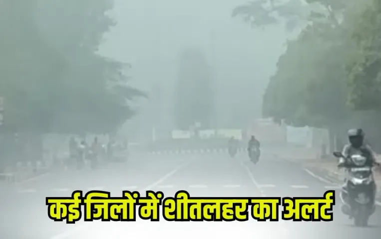 MP Weather Update: प्रदेश में बढ़ा ठंड का असर, कई जिलों में आज रात शीत लहर का अलर्ट, जानें आज मौसम का हाल