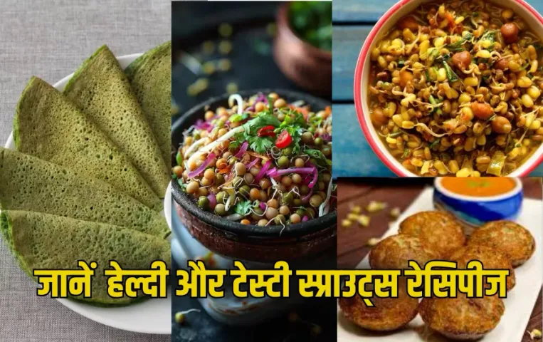 Sprouts Recipe Ideas: बच्चों और ऑफिस के टिफिन में बनाएं ये हेल्दी रेसिपीज, खाते ही आ जाएगा मजा
