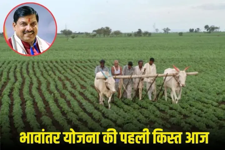 MP Bhavantar Yojana: आज CM जारी करेंगे भावांतर योजना की पहली किस्त, 1.36 किसानों के खाते में सीधे पहुंचेंगे 300 करोड़