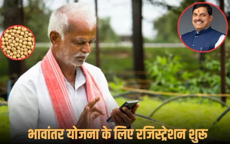 Bhavantar Yojana 2025: आज से रजिस्ट्रेशन शुरू, 17 अक्टूबर तक कर सकेंगे पंजीयन, 24 अक्टूबर से होगी सोयाबीन खरीदी