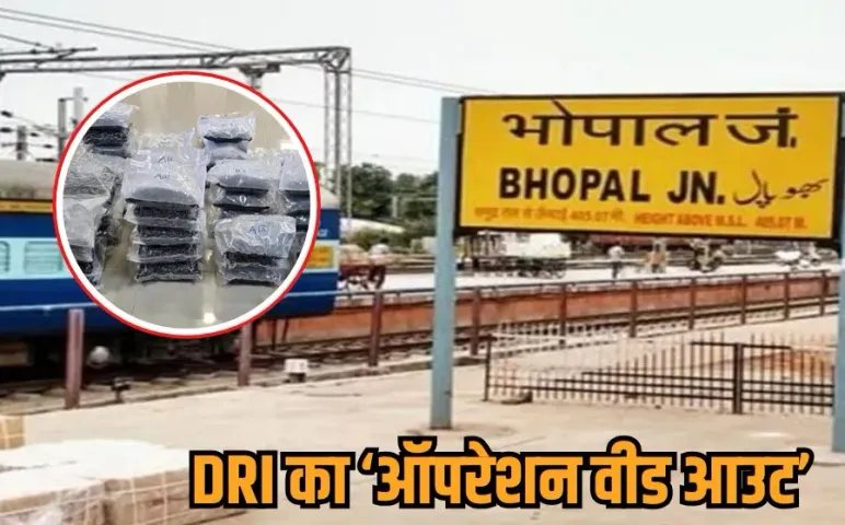 Bhopal Hydroponic Weed Drug: भोपाल रेलवे स्टेशन से 24 किलो हाइड्रोपोनिक गांजा बरामद, कीमत 72 करोड़, मास्टरमाइंड अरेस्ट