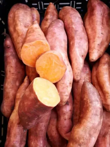 0e5c550ae486ca16fd9b9b695a857516