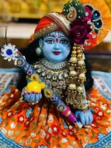 लड्डू गोपाल को न लगाएं इन चीजों का भोग