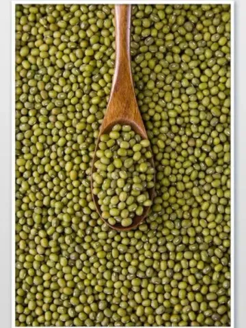 97922b8832c1e05fd59168e820edd788