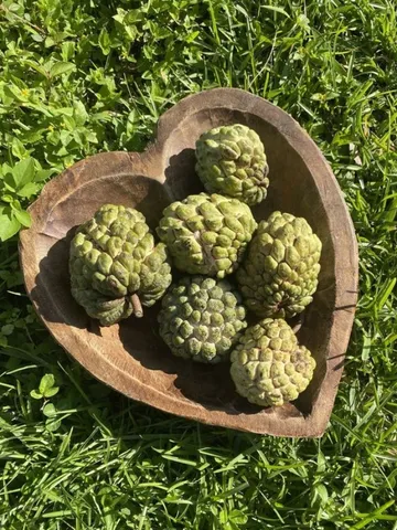 b1cee5fdeb995e7d0f43935ed4b18a23