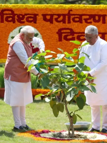 World Environment Day 2025 Ek ped maa ke naam