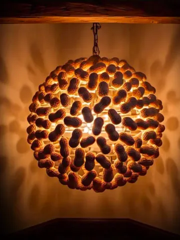 reuse moongfali ke chilke 4