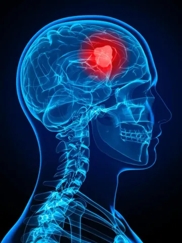 whatsapp-image-2024-10-06-at-21.21.25_78fff186