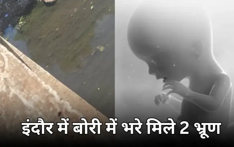 इंदौर में बोरी में मिले दो नवजात शिशु के भ्रूण: सफाई कर्मियों की नजर पड़ी तो उड़े होश, पुलिस ने शुरू की जांच