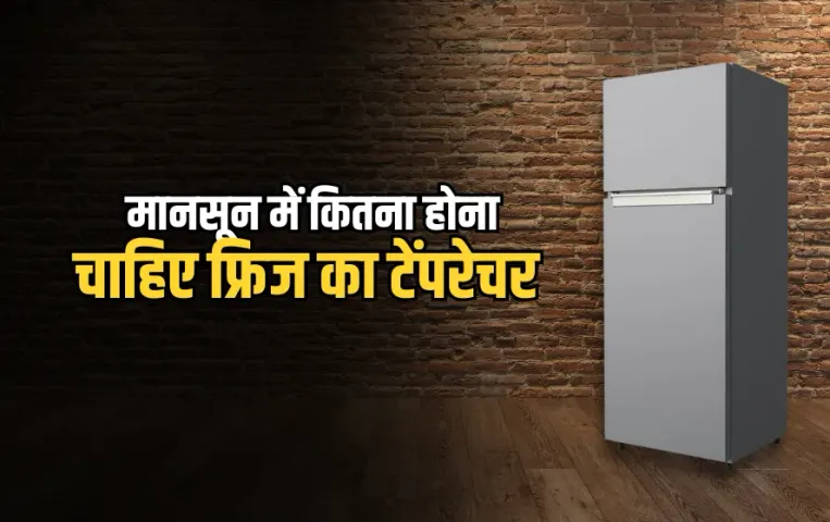 Monsoon Fridge Care Tips