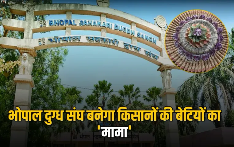 MP के इन किसानों को मिलेंगे ₹11 हजार: भोपाल दुग्ध संघ ने की नई योजना की शुरूआत, बेटियों की शादी में भेजेगा ‘मामेरा’