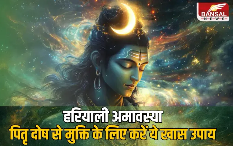 Hariyali Amavasya 2025: हरियाली अमावस्या पर पितृ दोष से मुक्ति के लिए करें ये खास उपाय, जानें महत्व