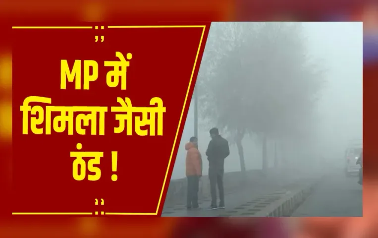MP Weather : MP में शिमला जैसी ठंड, 23 जिलों में सीवियर कोल्ड वेव अलर्ट जारी