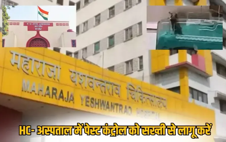 indore-my-hospital-neonatal-deaths-rat-bite-case-highcourt-action hindi news zxc