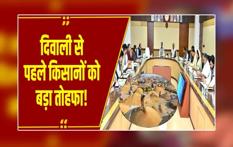 रायपुर: साय कैबिनेट का बड़ा फैसला, 15 नवंबर से धान खरीदी, 'तुंहर हाथ पोर्टल' से दिया जाएगा टोकन