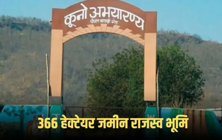 Kuno National Park: कूनो नेशनल पार्क की 366 हेक्टेयर जमीन अब राजस्व भूमि घोषित, अभी तक रिजर्व फॉरेस्ट में थी दर्ज