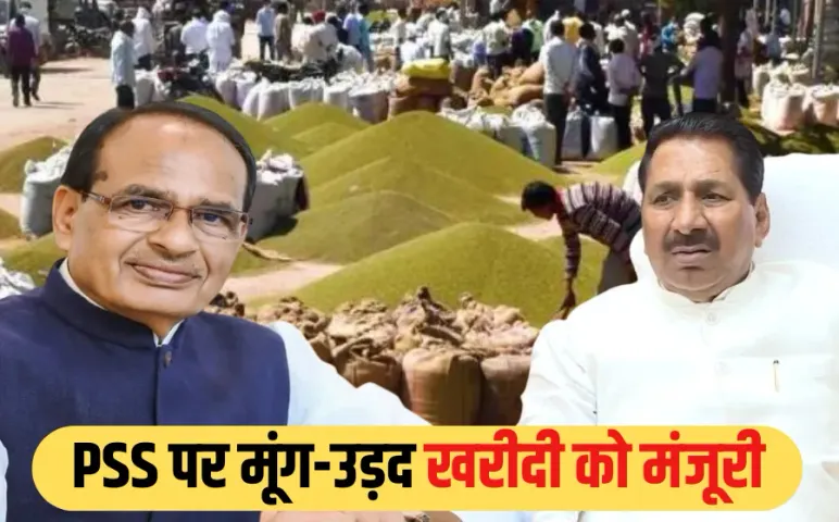 MP Moong Urad Kharidi: पारदर्शी और निष्पक्ष होगी मूंग-उड़द खरीदी, केंद्र ने 3.51 मीट्रिक टन मूंग खरीदी को दी मंजूरी