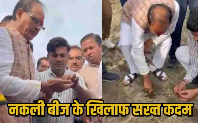 MP Fake Seeds: किसानों की आवाज पर खेत में उतरे शिवराज सिंह, देखी बीजों की हकीकत, बोले-नकली बीज बेचने वालों की खैर नहीं