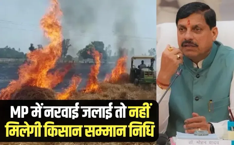 mp me narwai jalane wale kisano par action pm kisan samman nidhi msp cm mohan yadav