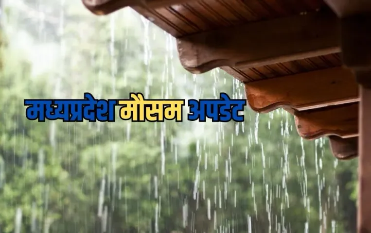 MP Weather Update: एमपी में मौसम का मिजाज बदला, भोपाल, ग्वालियर, श्योपुर और जबलपुर समेत इन शहरों में बारिश का अलर्ट