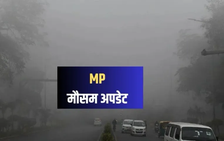 MP Weather: मध्यप्रदेश में सर्दी का नर्म पड़ा मिजाज, ग्वालियर-दतिया में बारिश का अलर्ट, पढ़ें मौसम का पूर्वानुमान