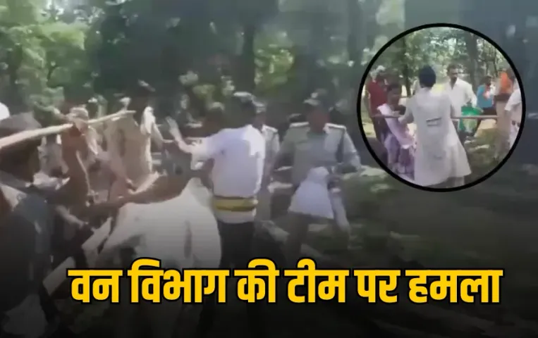 MP News: कटनी में अतिक्रमण हटाने पहुंची वन विभाग की टीम पर हमला, दो डिप्टी रेंजर समेत तीन वनरक्षक घायल