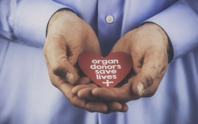 MP Organ Donation Guidelines: एमपी सरकार का बड़ा फैसला, अब ऑर्गन ट्रांसप्लांट मरीज की हालत से तय होगा