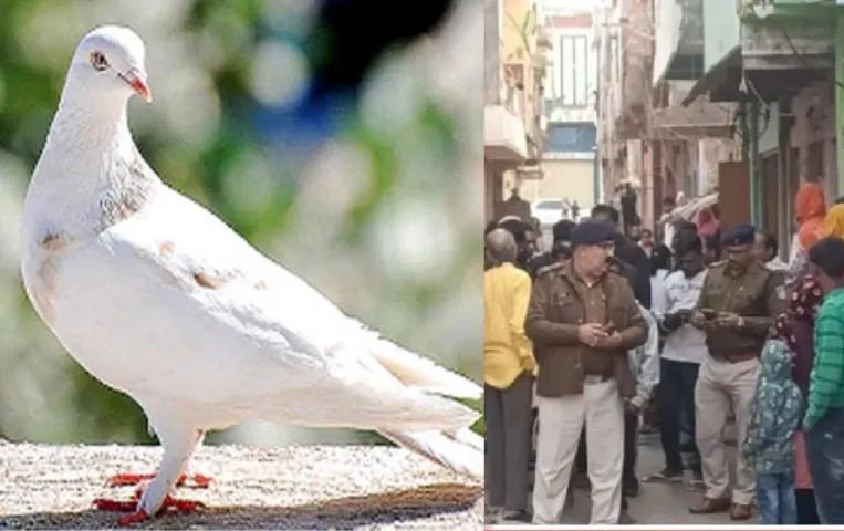 Ganj Basoda News: तेरे कबूतर मेरी छत गंदी कर रहे, कहते हुए दिव्यांग और उसके माता-पिता को मारी कैंची, मौत