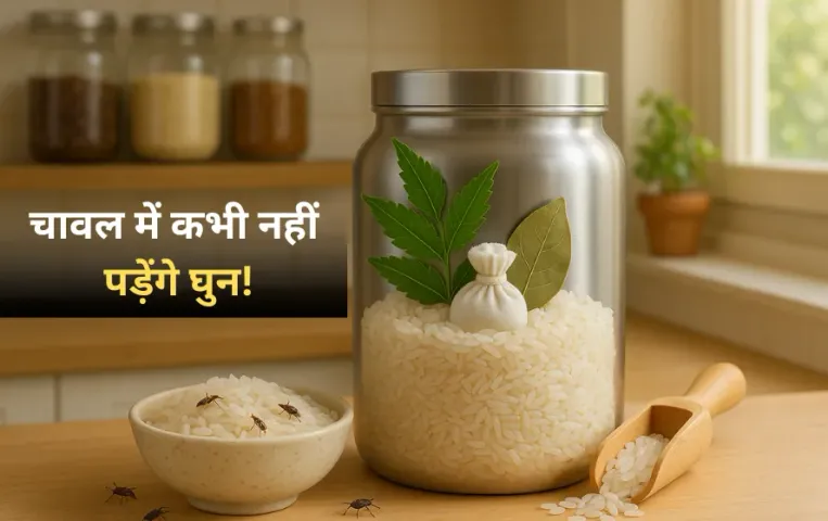 Rice Weevils Prevention Tips: चावल में कभी नहीं पड़ेंगे घुन! अपनाएं ये आसान घरेलू उपाय, महीनों तक सुरक्षित रहेगा अनाज