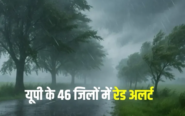 UP Mausam bhari barish orange alert 46 district weather update hindi zxc