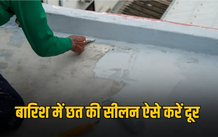 Monsoon Roof Care: बारिश में छत से टपकता है पानी? अपनाएं एक असरदार, सस्ता और घरेलू तरीका, सीलन होगी हमेशा के लिए दूर