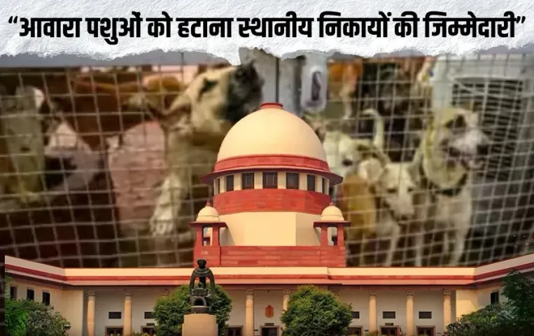 sc-order-remove-stray-dogs-cattle-from-roads-government-institutions-8-week-report hindi news zxc