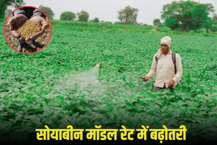 MP Fertilizer Home Delivery: मध्यप्रदेश में अब खाद की होम डिलीवरी, पायलट प्रोजेक्ट में 3 जिलों में घर-घर पहुंचाएंगे बोरी