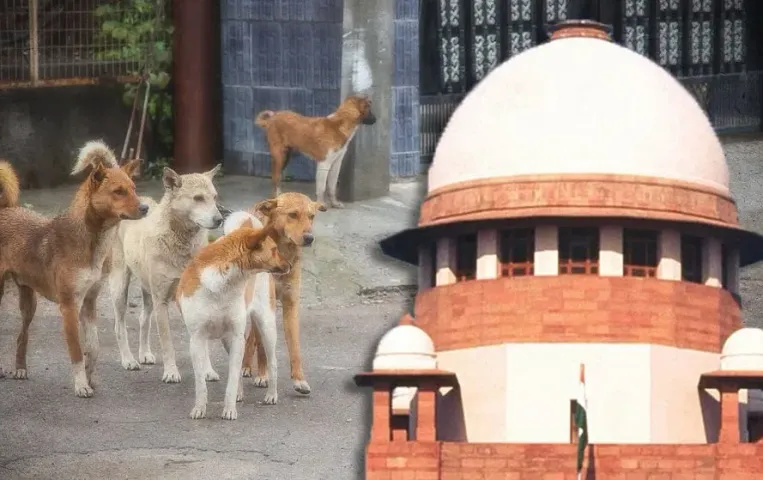 supreme-court-stray-dogs-case-chief-secretaries-ordered-to-appear-november-3-hindi-news-zxc