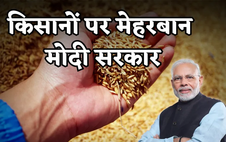 किसानों को दिवाली का तोहफाः मोदी कैबिनेट ने रबी की इन फसलों की MSP बढ़ाई, सबसे ज्यादा सरसों की कीमत में इजाफा