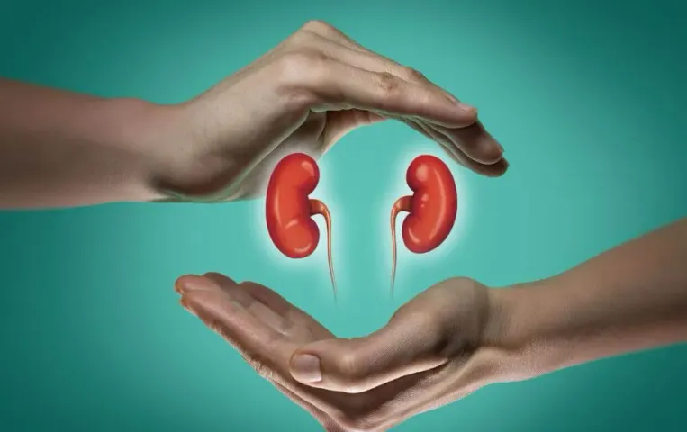World Kidney Day 2025: किडनी की बीमारियों से बचाव के लिए जरूरी हैं ये गोल्डन रूल्स, जानें कैसे रखें अपनी किडनी को हेल्दी