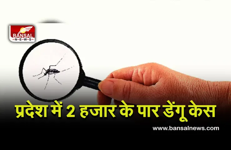 Dengue Outbreak: प्रदेश में डेंगू का कहर, 2 हजार के पार पहुंची मरीजों की संख्या