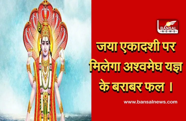 Aja ekadashi 2 September 2021 :  केवल तुलसी के दान से ही मिलेगा अश्वमेघ यज्ञों का फल। गुरूवार का दिन बनाएगा इसे खास।