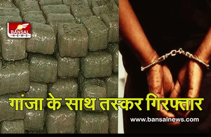 Ganja Seized: मादक पदार्थ की आपूर्ति करने वाला ट्रक ड्राइवर गिरफ्तार, 125 किलोग्राम गांजा जब्त