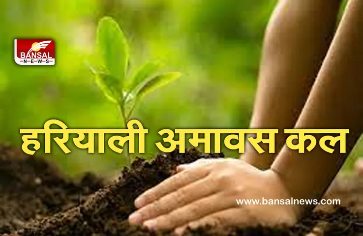 Hariyali Amavasya 8 August 2021 :  रोगों से बचने के लिए लगाएं ये औषधीय पौधे