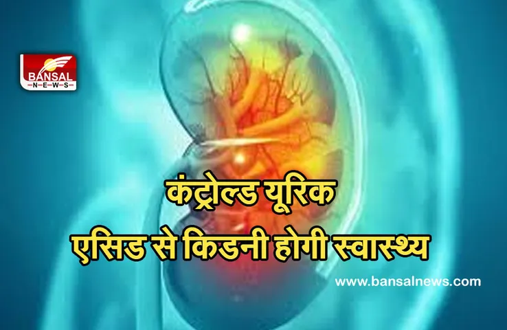 Health Tips : ये किडनी के खराब होने के हो सकते हैं सं​केत। जानिए यूरिक एसिड को कंट्रोल करने के उपाय