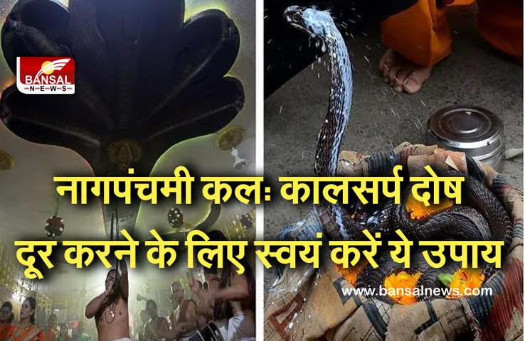 Nagpanchami tomorrow : यदि आपको है कालसर्प योग, तो करें ये उपाय, ये हैं होते हैं कालसर्प होने के लक्षण।