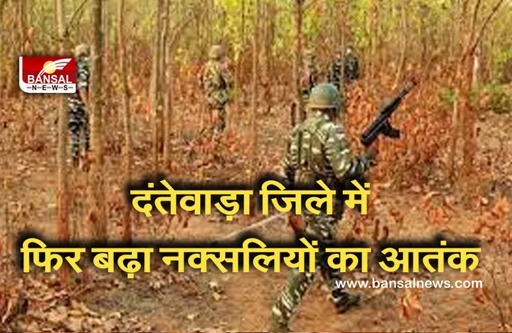 CG NEWS: नक्सल प्रभावित दंतेवाड़ा जिले में सुरक्षा बलों ने तीन नक्सलियों को किया गिरफ्तार