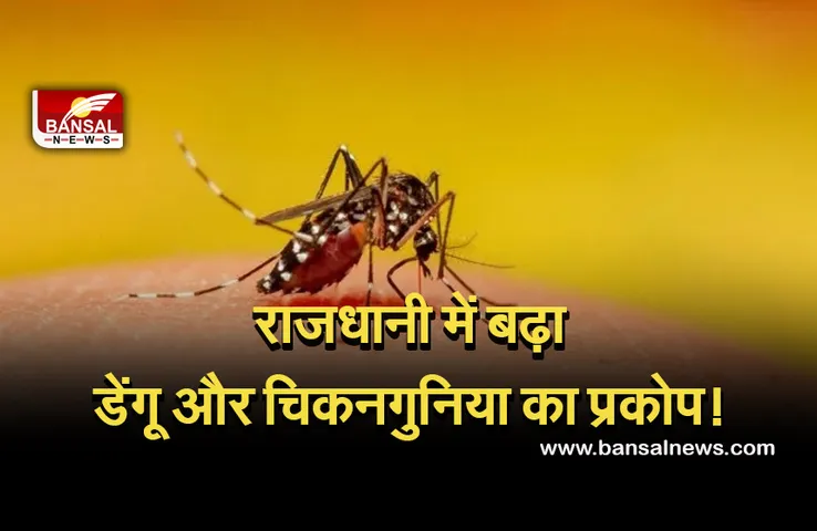 Dengue Outbreak: राजधानी में बढ़ रहा है डेंगू और चिकनगुनिया का खतरा, फिर मिले इतने नए मरीज