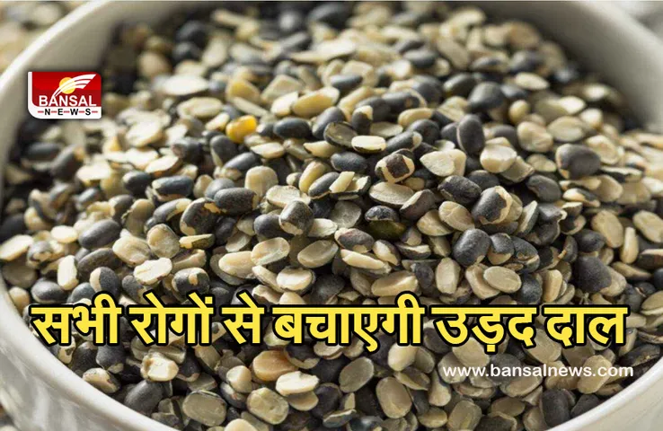 Health Tips (Health Benefits Of Urad Dal ) : हार्ट को हेल्‍दी रखना है, तो डाइट में शामिल करें उड़द की दाल