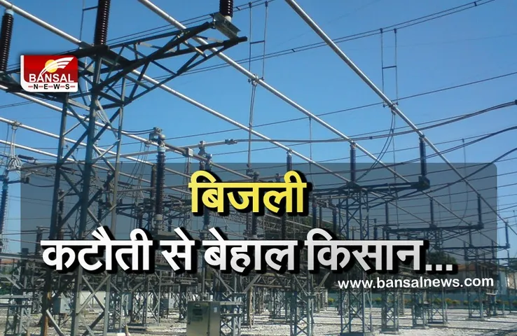 Power Cut: बिजली कटौती से आमजन के साथ किसान भी परेशान, फसलों को हो रहा है भारी नुकसान
