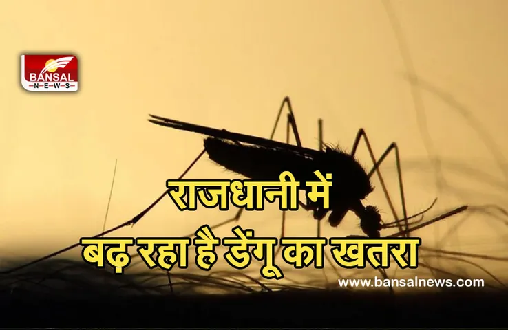 Dengue Outbreak: राजधानी में डेंगू का खतरा! बीते 24 घंटे में मिले 7 नए मरीज, स्वास्थ्य विभाग ने जारी किया अलर्ट