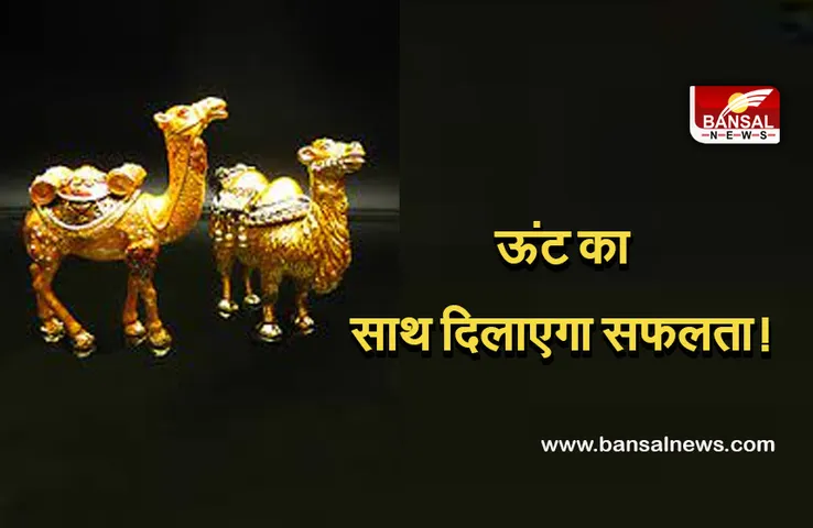 Vashtu Tips use of camel : संघर्ष का सूचक ऊंट दिला सकता है समस्याओं से छुटकारा, जानिए वास्तु में क्या हैं इसके फायदे।