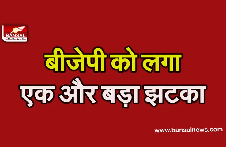 Politics: बीजेपी को लगा तगड़ा झटका, AAP में शामिल हुईं ये दिग्गज नेता