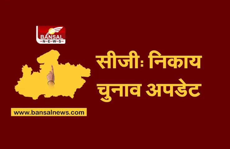 CG Nikay Chunav : भैरमगढ़ नगर पंचायत की 11 सीटों पर कांग्रेस आगे, 4 पर बीजेपी को बढ़त, खैरागढ़ में 11 वार्डों में बीजेपी की जीत